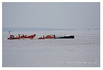 Row and Rescue 082